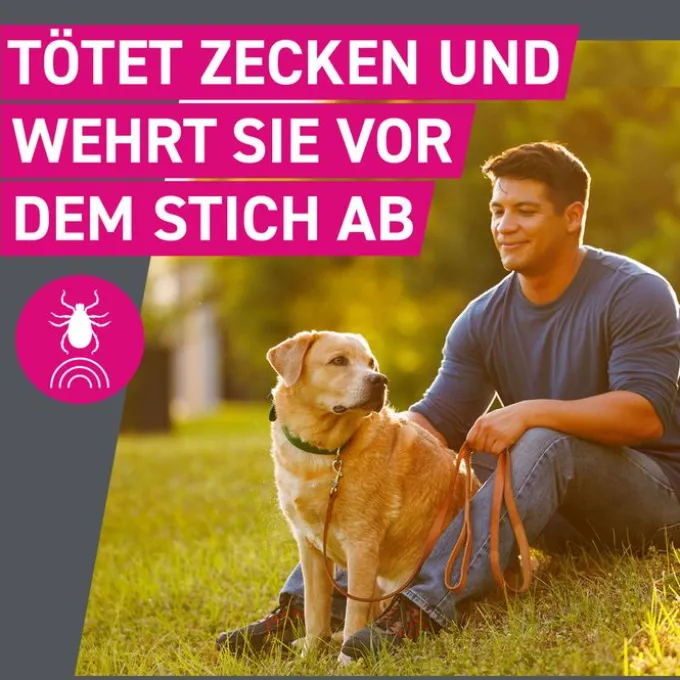 FRONTLINE Tri-Act Lsg.z.Auftropfen f.Hunde 5-10 kg 3 St