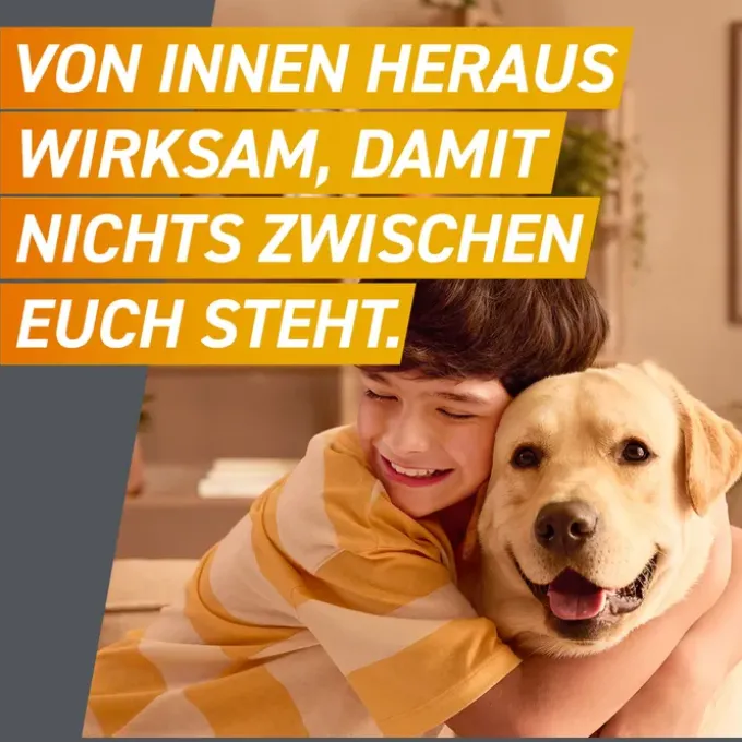FRONTPRO 136 mg Kautabletten f.Hunde >25-50 kg 3 St