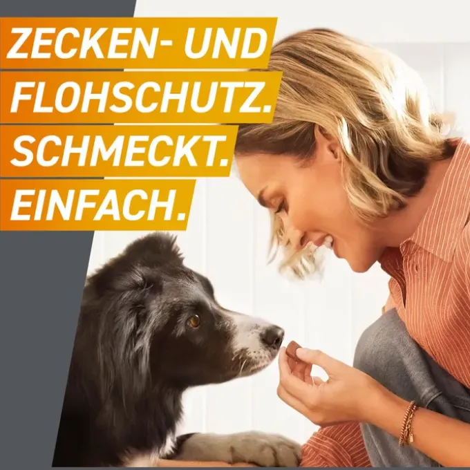 FRONTPRO 136 mg Kautabletten f.Hunde >25-50 kg 3 St
