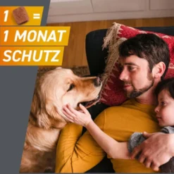 FRONTPRO 11 mg Kautabletten f.Hunde 2-4 kg 3 St