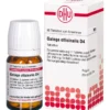GALEGA officinalis D 4 Tabletten 80 St