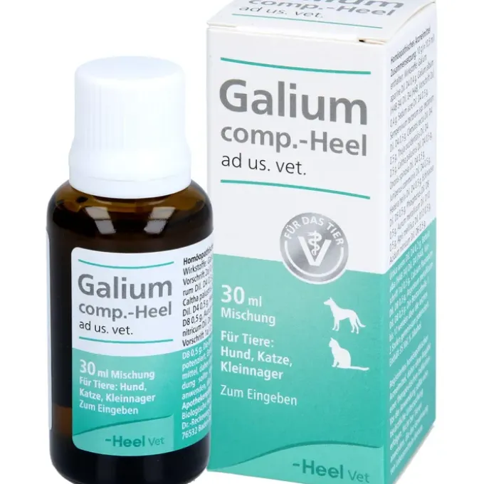 GALIUM COMP.-Heel ad us.vet.Tropfen 30 ml