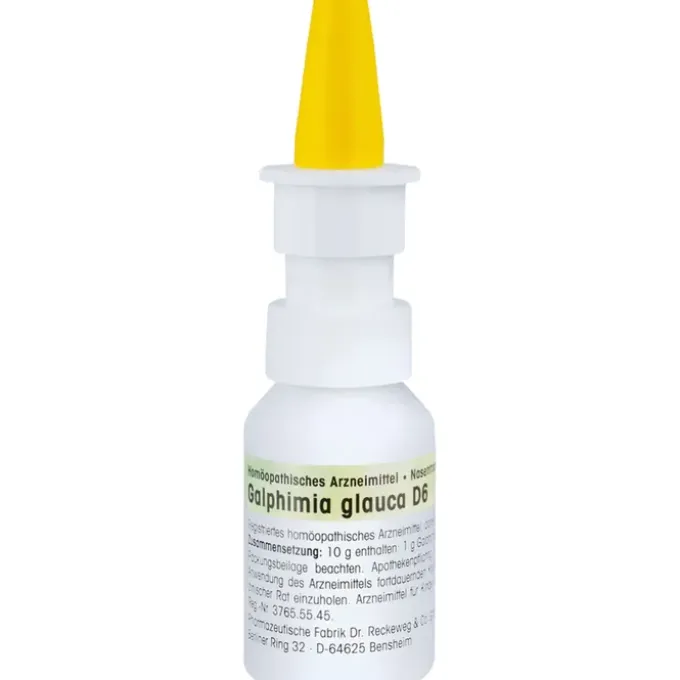 GALPHIMIA GLAUCA D 6 Nasenspray 15 ml