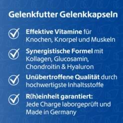 GELENKFUTTER Gelenkkapseln 240 Stück