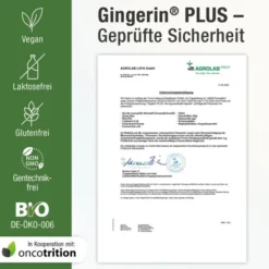 GINGERIN PLUS Kapseln 60 Stück