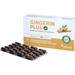 GINGERIN PLUS Kapseln 60 Stück
