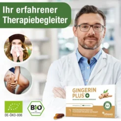 GINGERIN PLUS Kapseln 60 Stück