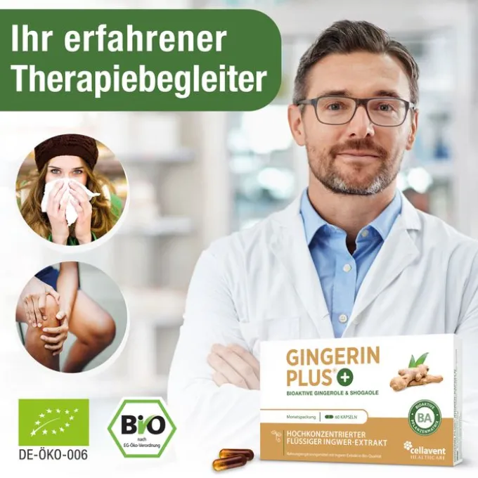 GINGERIN PLUS Kapseln 60 Stück