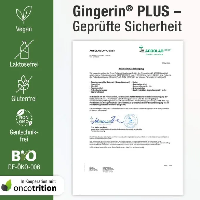 GINGERIN PLUS Kapseln 60 Stück