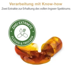 GINGERIN PLUS Kapseln 60 Stück