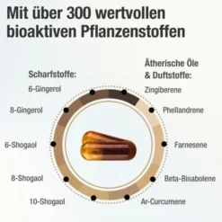 GINGERIN PLUS Kapseln 60 Stück