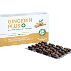 GINGERIN PLUS Kapseln 60 Stück