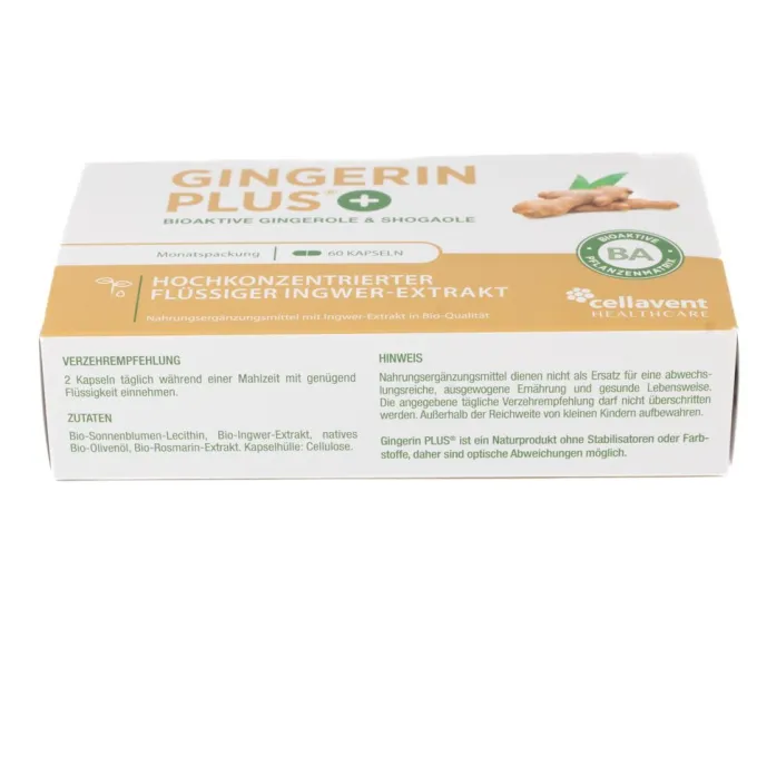 GINGERIN PLUS Kapseln 60 Stück