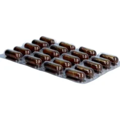 GINGERIN PLUS Kapseln 60 Stück