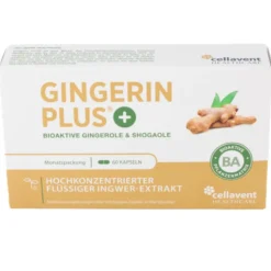 GINGERIN PLUS Kapseln 60 Stück