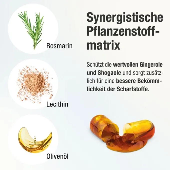 GINGERIN PLUS Kapseln 60 Stück