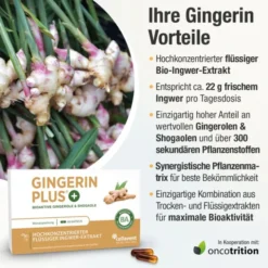 GINGERIN PLUS Kapseln 60 Stück