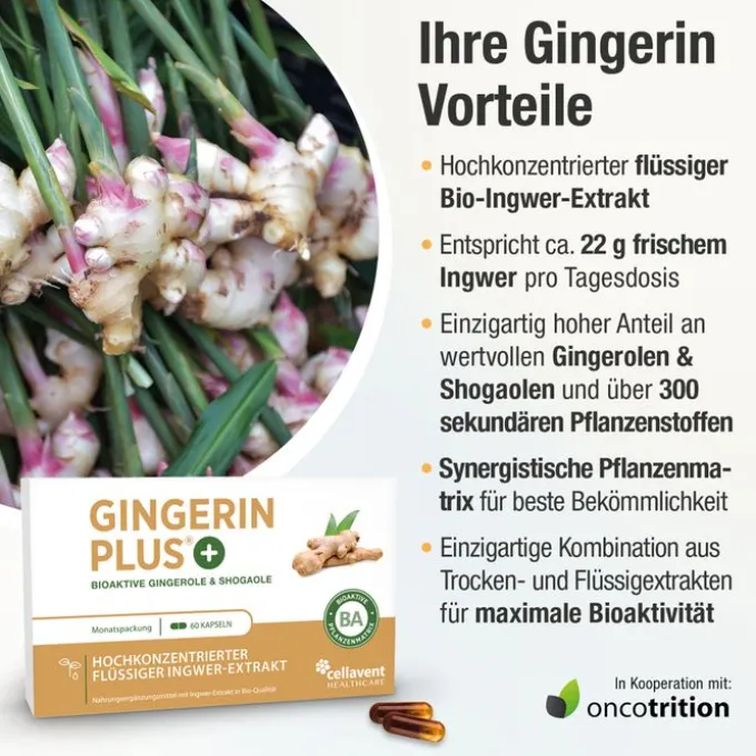 GINGERIN PLUS Kapseln 60 Stück