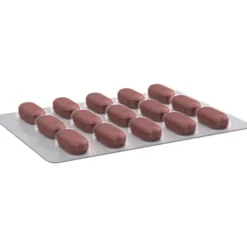 GINGIUM 40 mg Filmtabletten 30 St