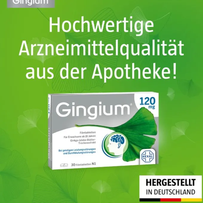 GINGIUM 120 mg Filmtabletten 120 St