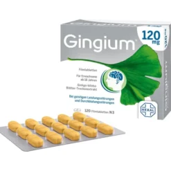 GINGIUM 120 mg Filmtabletten 120 St