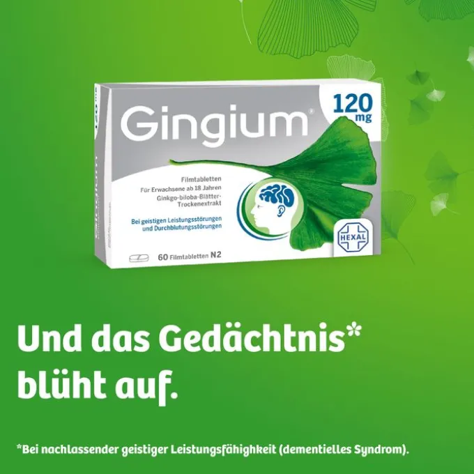 GINGIUM 120 mg Filmtabletten 120 St