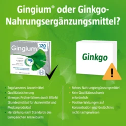 GINGIUM 120 mg Filmtabletten 120 St