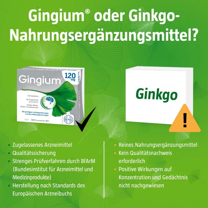 GINGIUM 120 mg Filmtabletten 120 St