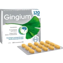 GINGIUM 120 mg Filmtabletten 120 St
