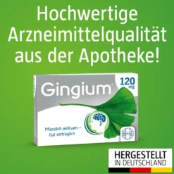 GINGIUM 240 mg Filmtabletten 80 St