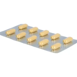 GINGOBETA 240 mg Filmtabletten 30 St