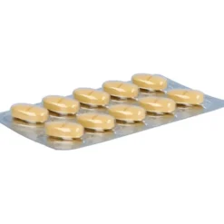 GINGOBETA 120 mg Filmtabletten 30 St