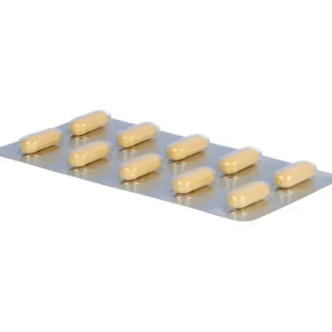 GINGOBETA 240 mg Filmtabletten 50 St