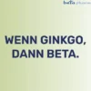 GINGOBETA 40 mg Filmtabletten 30 St