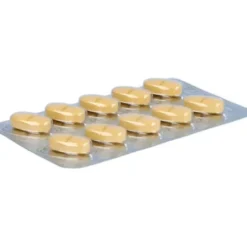 GINGOBETA 120 mg Filmtabletten 120 St