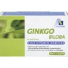GINKGO 100 mg Kapseln+B1+C+E 48 Stück