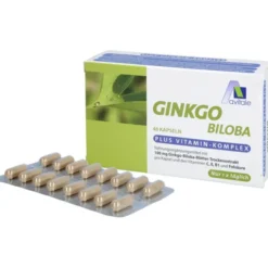 GINKGO 100 mg Kapseln+B1+C+E 48 Stück