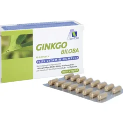 GINKGO 100 mg Kapseln+B1+C+E 48 Stück