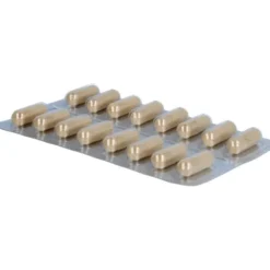 GINKGO 100 mg Kapseln+B1+C+E 48 Stück
