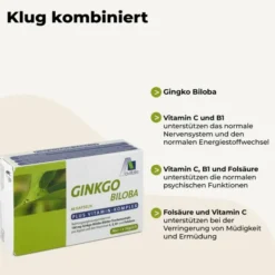 GINKGO 100 mg Kapseln+B1+C+E 48 Stück