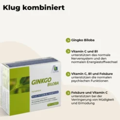 GINKGO 100 mg Kapseln+B1+C+E 192 Stück