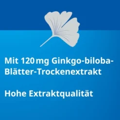 GINKGO STADA 120 mg Filmtabletten 30 St