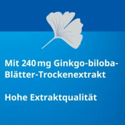 GINKGO STADA 240 mg Filmtabletten 30 St
