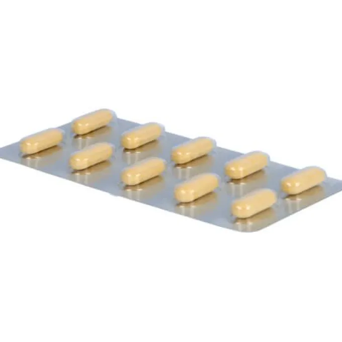 GINKGO STADA 240 mg Filmtabletten 30 St