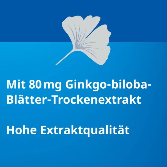GINKGO STADA 80 mg Filmtabletten 120 St
