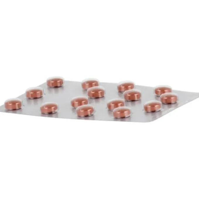 GINKOBIL-ratiopharm 80 mg Filmtabletten 30 St