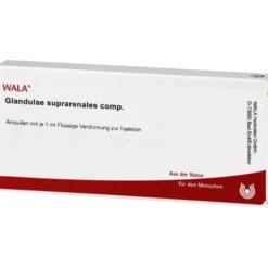 GLANDULAE SUPRARENALES comp.Ampullen 10X1 ml