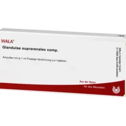 GLANDULAE SUPRARENALES comp.Ampullen 10X1 ml