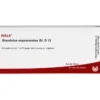 GLANDULAE SUPRARENALES GL D 12 Ampullen 10X1 ml