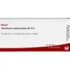 GLANDULAE SUPRARENALES GL D 4 Ampullen 10X1 ml